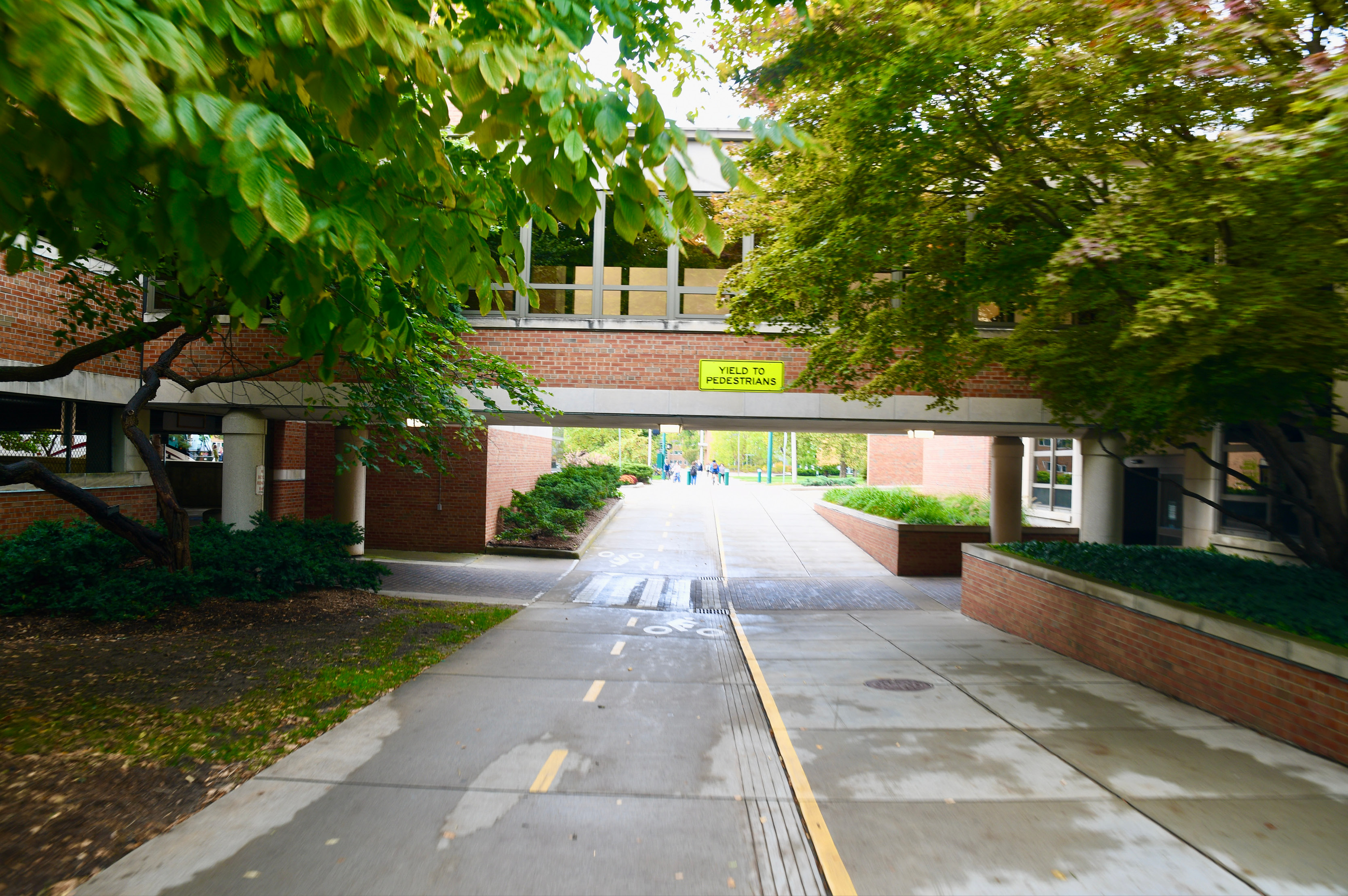 MSU River Trail